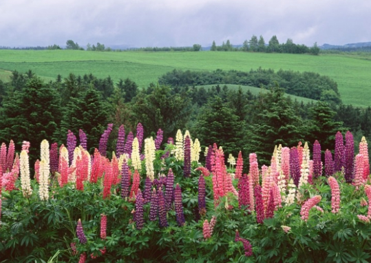 校園文化建之精神文化的追求