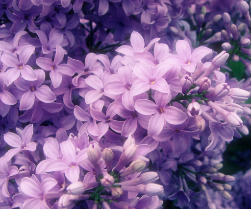 視覺(jué)傳達(dá)設(shè)計(jì)是現(xiàn)代商業(yè)服務(wù)的藝術(shù)