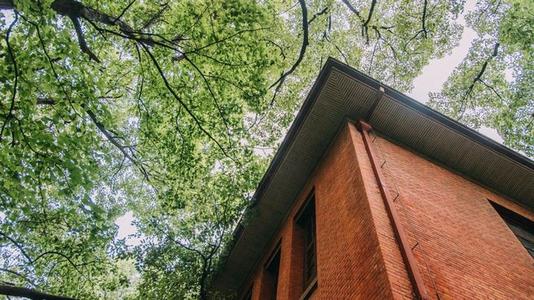 企業(yè)文化的鮮明特征