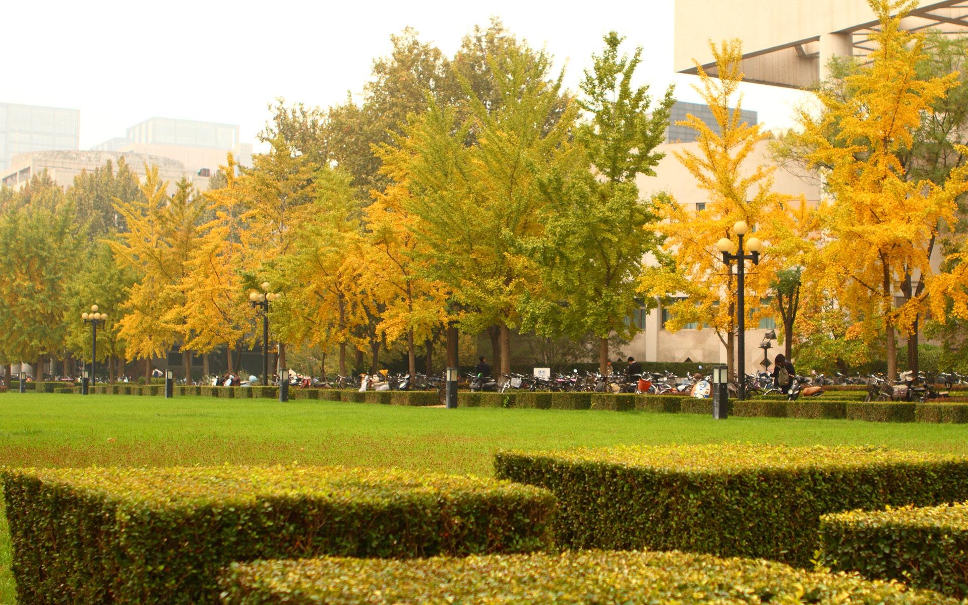 安全也是企業(yè)文化重要性與企業(yè)文化的類(lèi)型