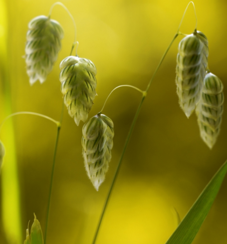 設(shè)計構(gòu)思的階段