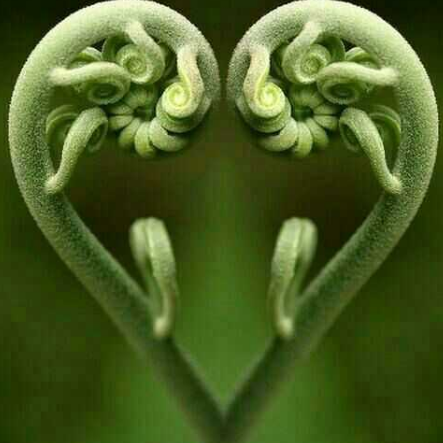 設(shè)計的分類簡介