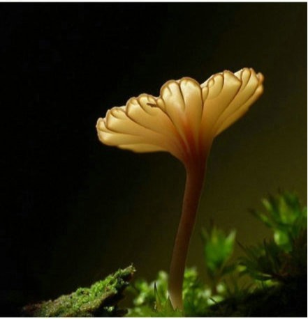 LOGO對(duì)企業(yè)的重要性！