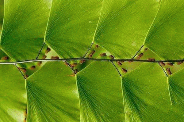 宇宙萬物真的有被設計嗎？