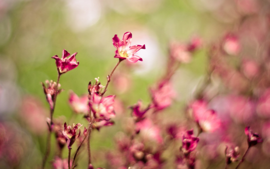 “環(huán)境文化”合適才是有文化