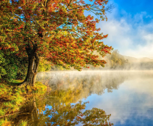 設計師一定要做到這些