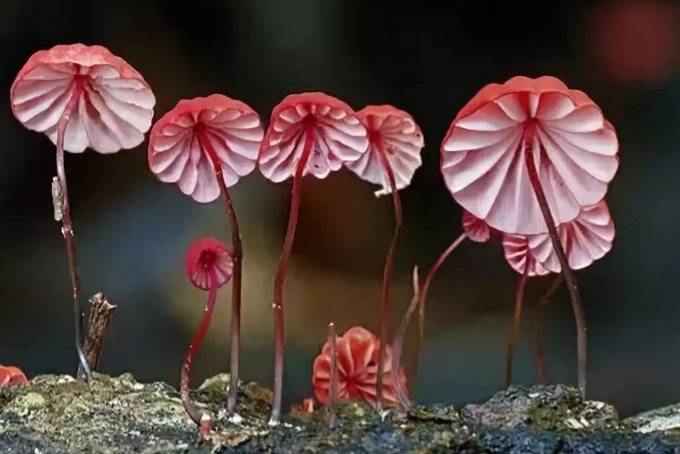 品牌與商標(biāo)，你真的了解嗎？