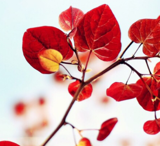 設(shè)計(jì)不僅僅只為引人注意，是要從中收到某種刺激、有所收獲！