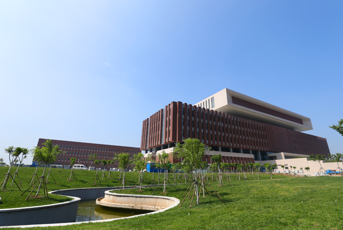 學(xué)院圖書館周邊綠化