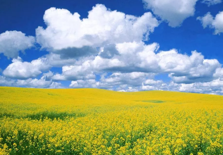 品牌營銷的理念