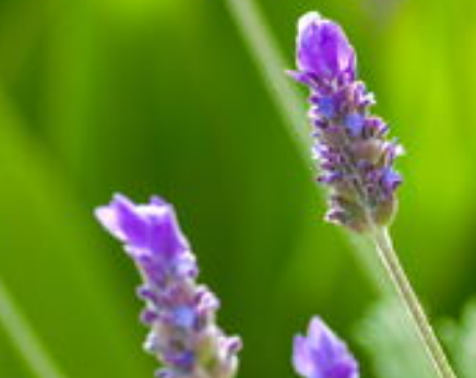 品牌是企業(yè)的無形載體！