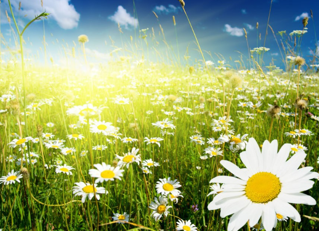 如何提升校園的學習氛圍，豐富校園生活！