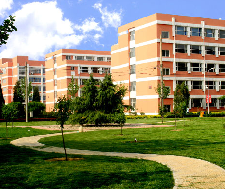 為什么每個校園都要有校園文化？