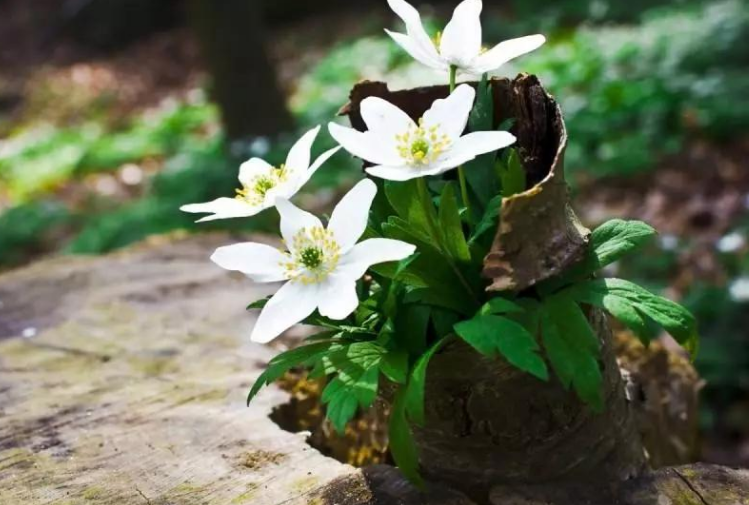 企業(yè)的品牌對(duì)市場具有一定開拓能力！