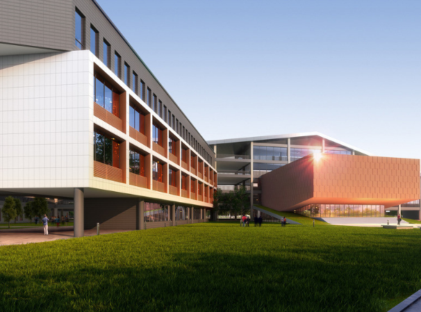 制定學校規(guī)劃需要注意的事項