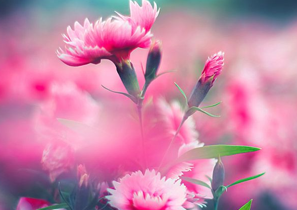 企業(yè)單位對(duì)設(shè)計(jì)的要求