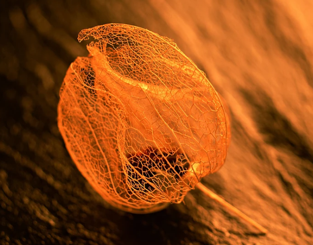 網(wǎng)絡(luò)品牌的核心價(jià)值