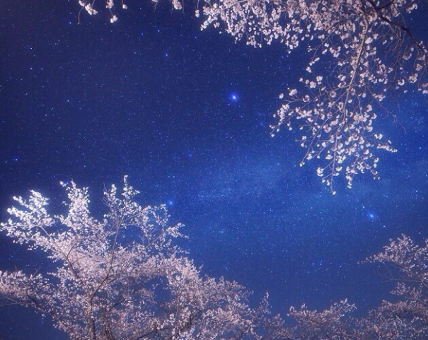 有關(guān)視覺設計的分析