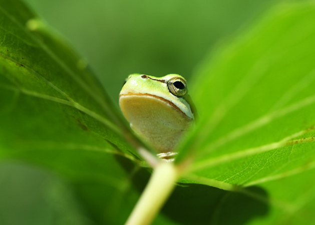 校園文化的重點(diǎn)簡(jiǎn)介