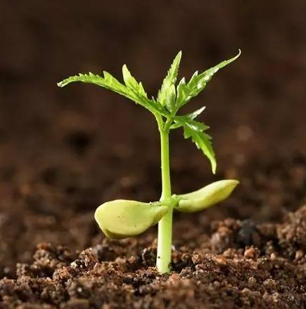 為什么說企業(yè)文化是企業(yè)的靈魂！