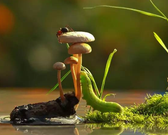 設計構思的三大階段！