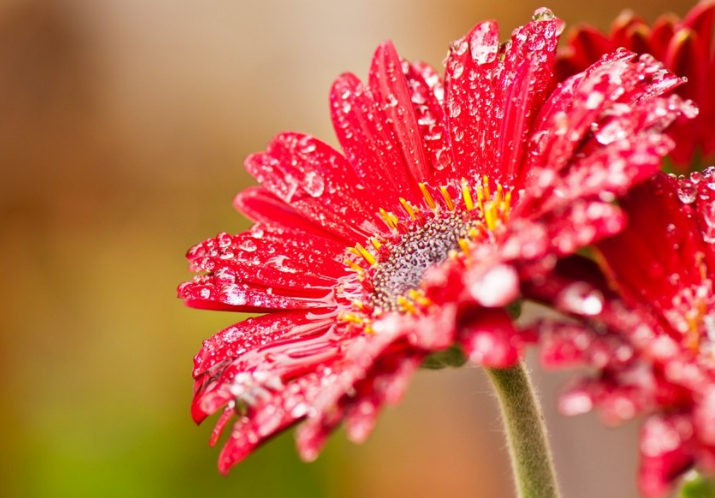 校園精神文化建設(shè)可以這么做！