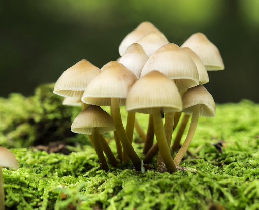 設(shè)計師一定要做到深入！