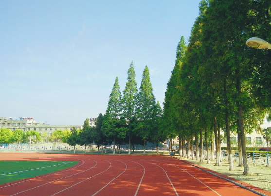 校園精神文化建設(shè)之活動！