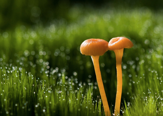 建筑設(shè)計的構(gòu)思與藝術(shù)性！