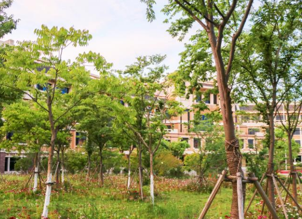 簡述校園樹種選擇與配置！