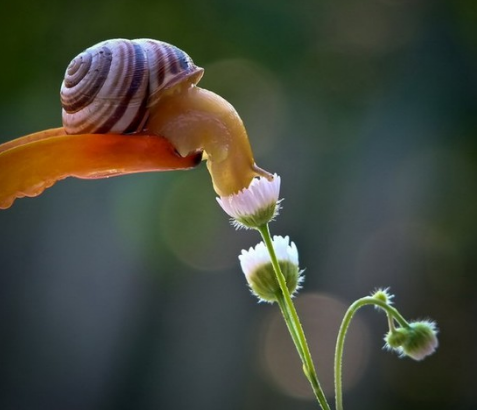 企業(yè)對(duì)設(shè)計(jì)的期待！