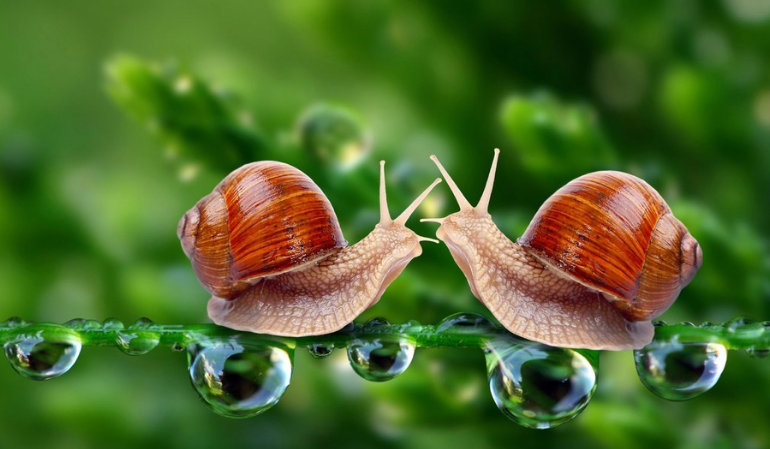 簡(jiǎn)述企業(yè)單位對(duì)設(shè)計(jì)的要求！