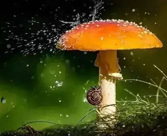 設(shè)計(jì)師作品設(shè)計(jì)的思路歷程!