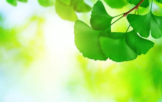 讓文化滲透孩子的內(nèi)心