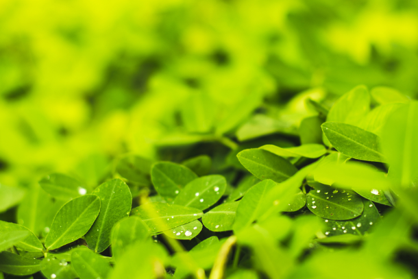 綠色生態(tài)校園設(shè)計(jì)的根本！