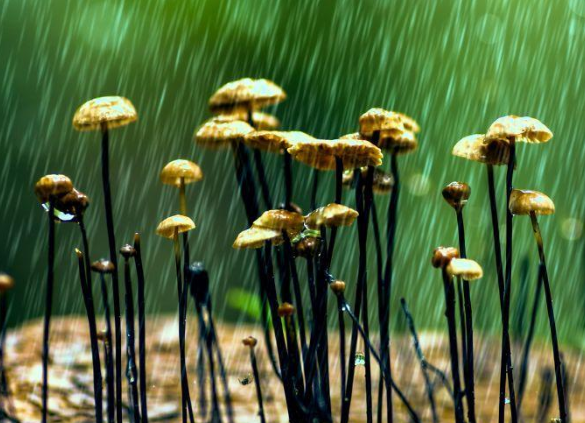 設(shè)計(jì)：如何接納客戶需求?。?！