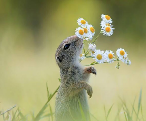 廣告分類簡述！