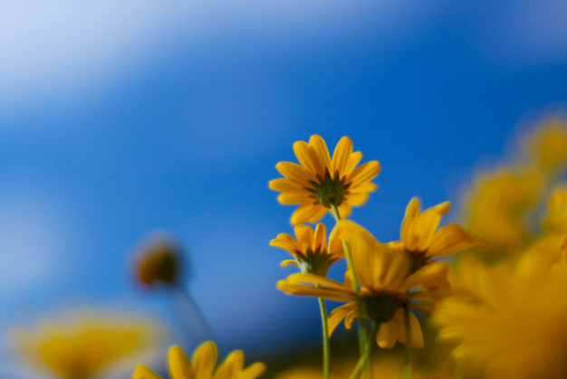 設(shè)計(jì)是這樣的？