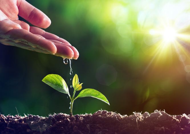 logo的價(jià)值體現(xiàn)！