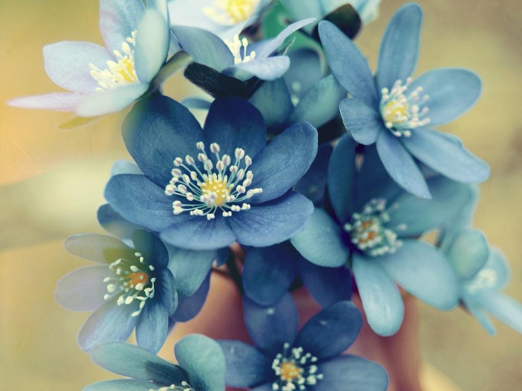 建設校園文化的戰(zhàn)略目標：