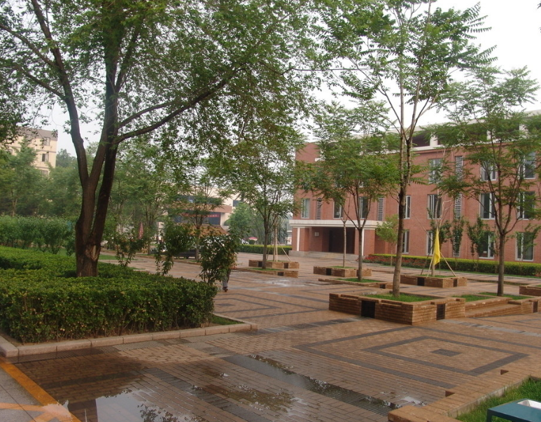 校園文化特色創(chuàng)建