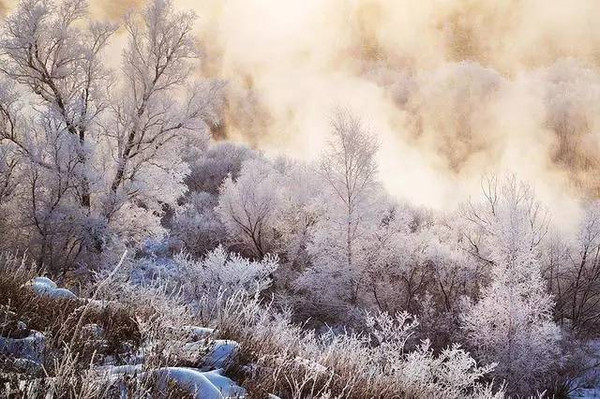 大自然對萬物的設計——摘要