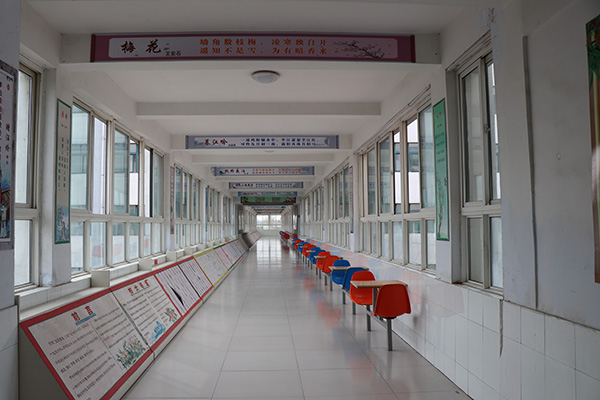 書(shū)香校園建設(shè)的實(shí)踐與體會(huì)