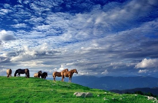 文字設(shè)計(jì)的功能和原則