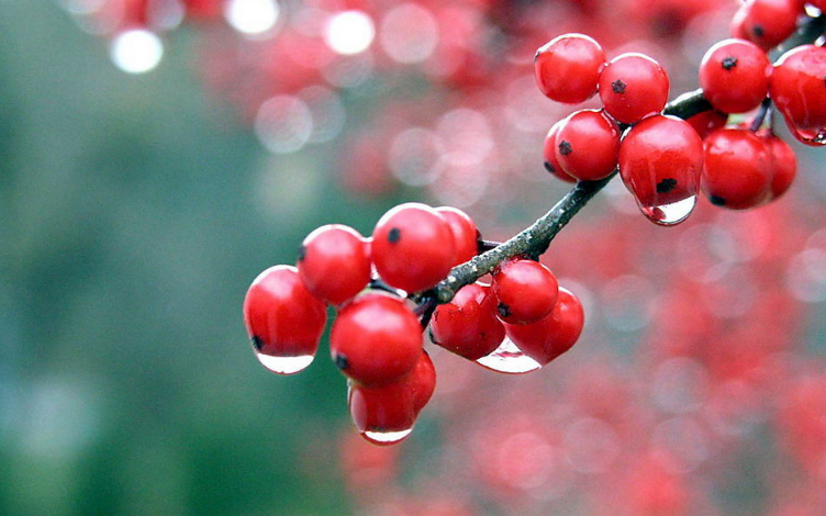 設(shè)計師敘述