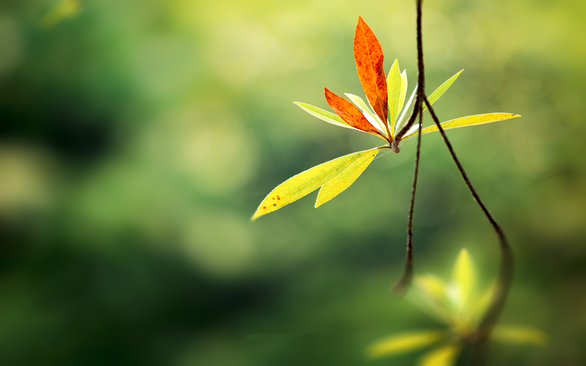 欣賞超凡的設(shè)計——認(rèn)識設(shè)計者