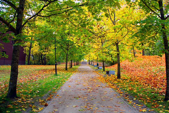 設計的幾點感悟