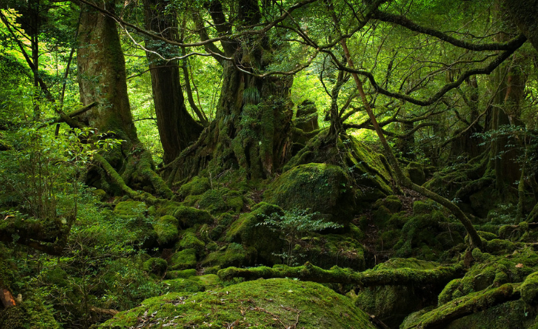 宇宙萬物有設(shè)計(jì)者