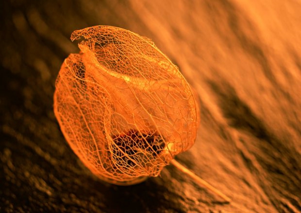 學(xué)校標(biāo)識美感要求