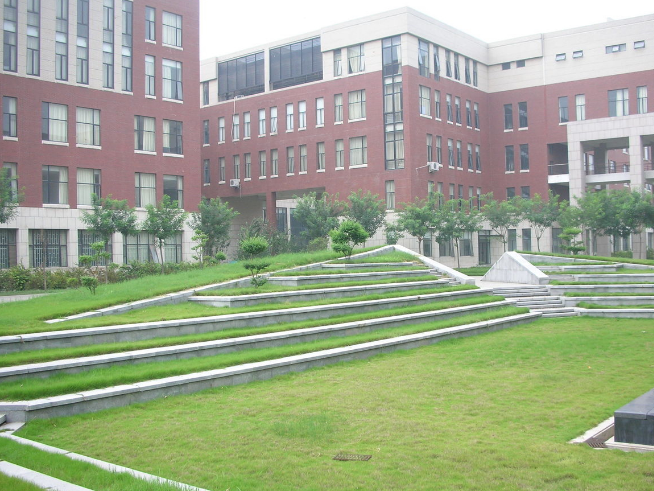 提升學(xué)校的文化品位的校園文化建設(shè)